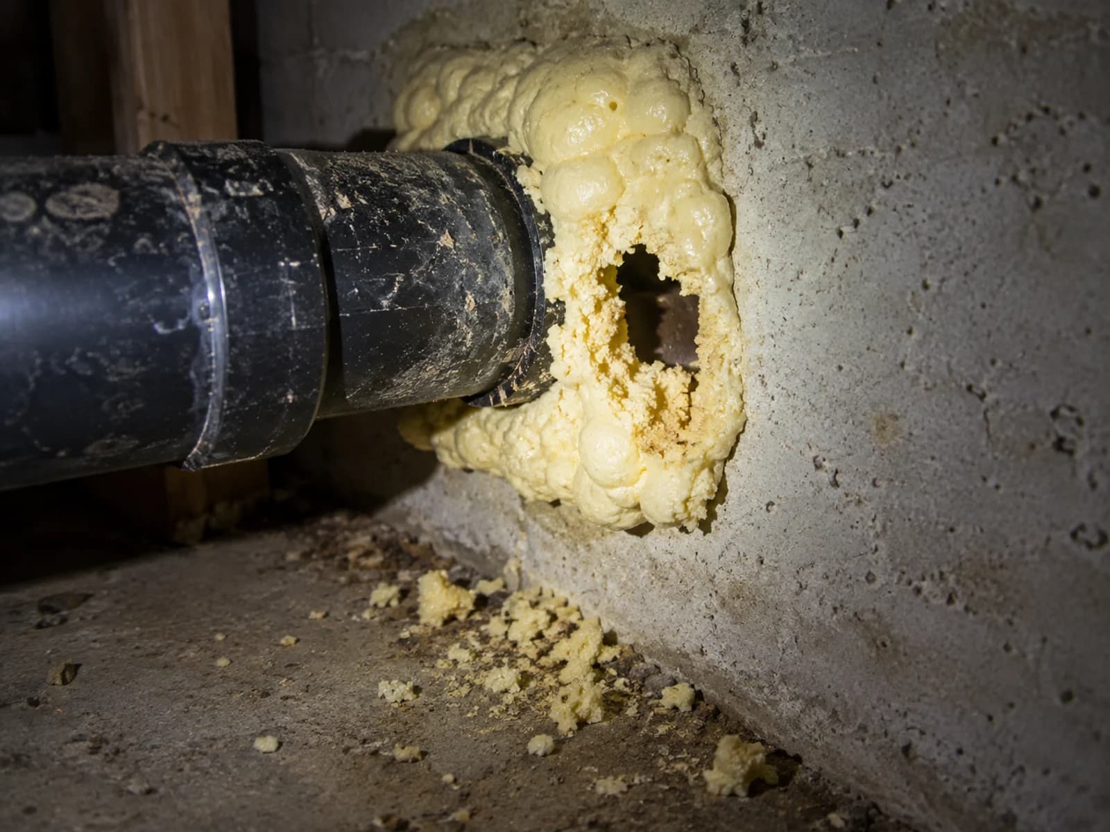 Expanding foam around a pipe chewed through by rodents.