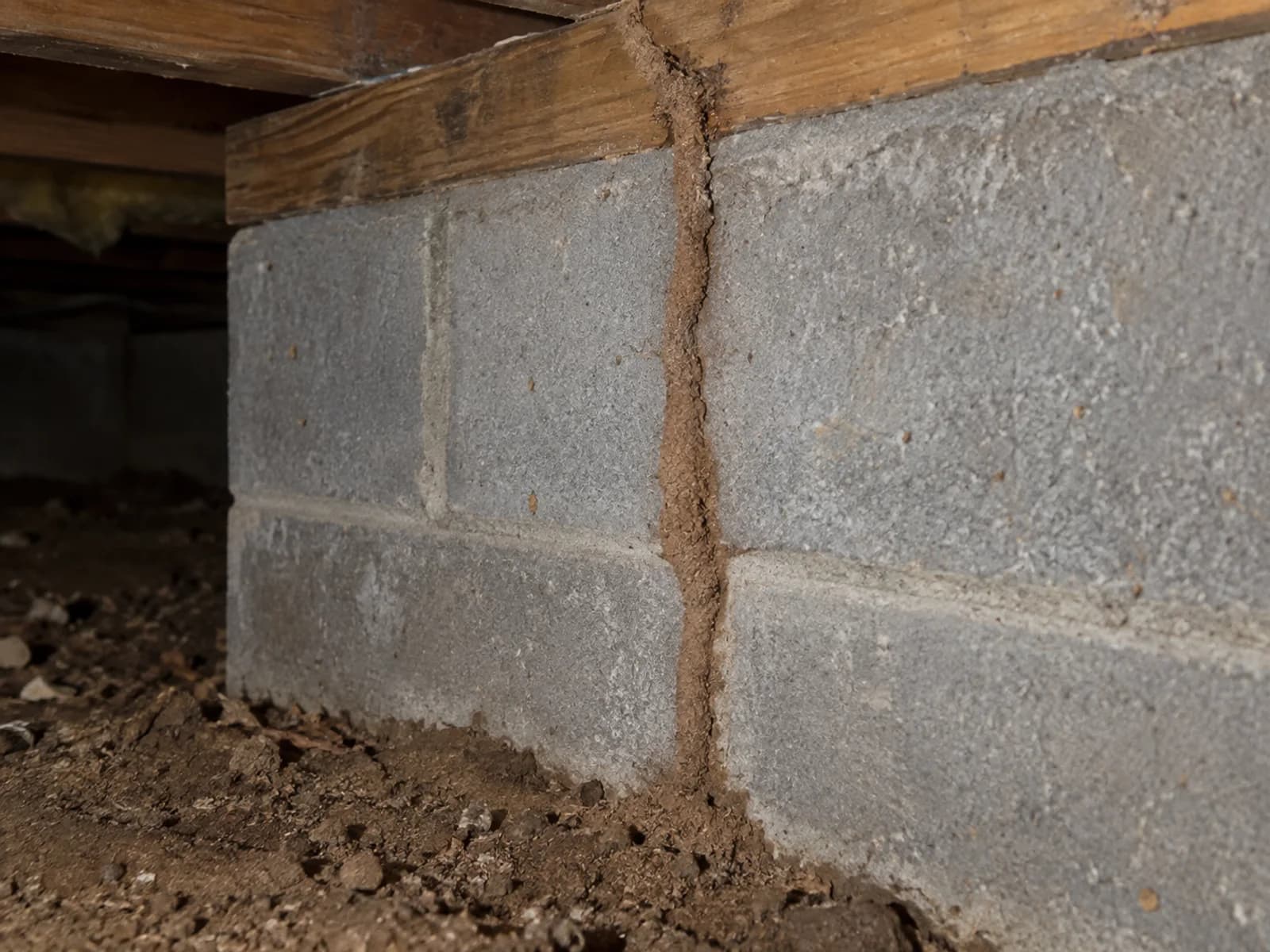 Pencil-width termite mud tube climbing a concrete block foundation to a sill plate.